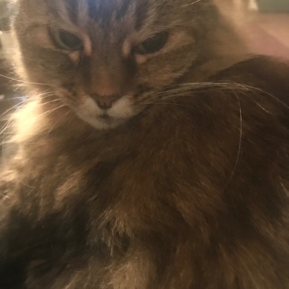 Like this posting to find my closet - Picture 2 of 3